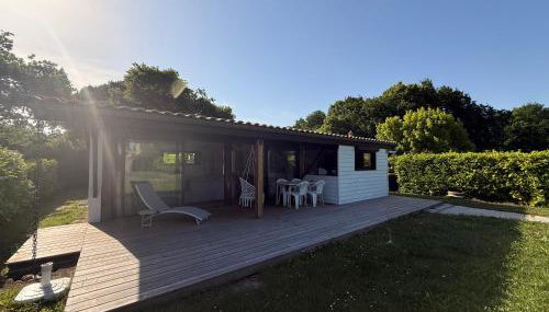 Petite Girolle - Foto 2