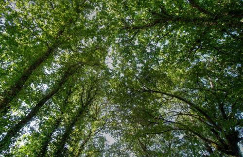 Quinta de Silharezes, Lda - Foto 42