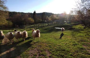 Agriturismo Podere Asche - Photo 15