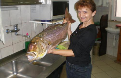 Apartment in Susak with air conditioning, W-LAN (3865-6) - Foto 21