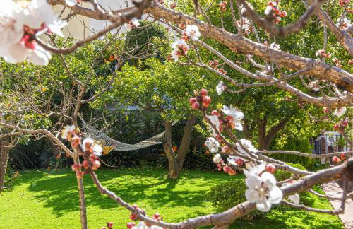 Il Giardino dei Gigli - Foto 1