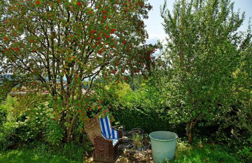 Chalet Sonnenwald - Photo 15