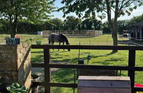Tranquil Equestrian Escape - Sleeps 2 - Foto 22