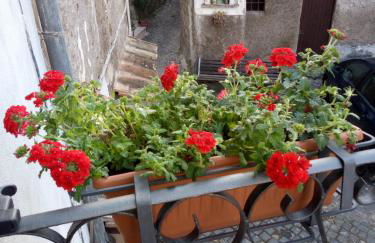 Platea Oche - Foto 45