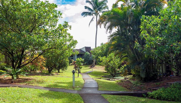 Puamana 25A - Foto 2, Imagen principal