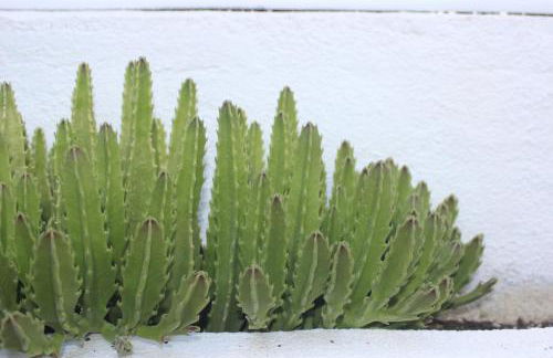 Casa do Sossego - Foto 53