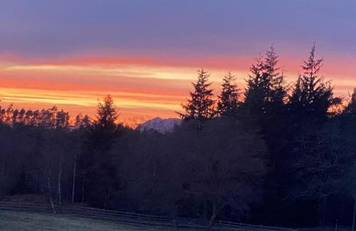 The Annex at Meeks Park immaculate 2 bed - Foto 12