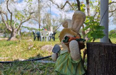 Dream in Chalkidiki 2 bedroom villa with garden - Foto 29