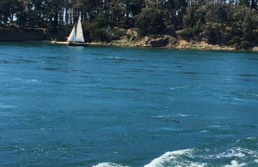 Maison pour 5 - Grand jardin - 500m de la mer - Foto 20