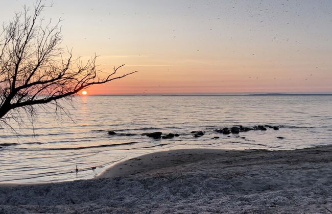 Villasleeps23-gaden-parking-partiesok-lake - Photo 14