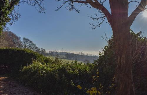 The Studio - Foto 25