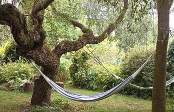 Dom Pod Złotym Bażantem - Foto 6