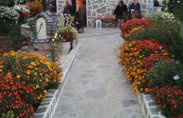 Stavroula's Houses - Foto 55