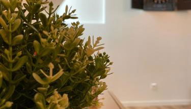 Les nuits du Lion - Foto 5