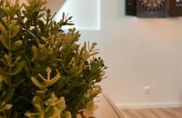 Les nuits du Lion - Foto 5