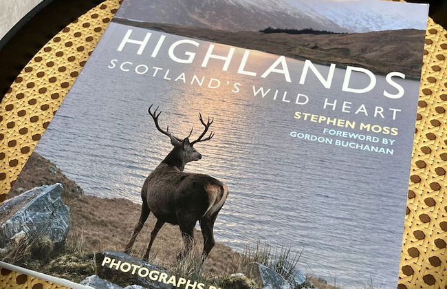 3 Mackay Road Dornoch - Photo 22