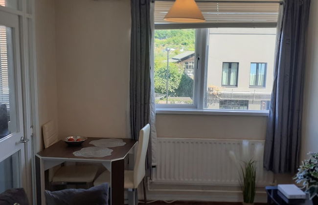 Beautiful Cosy 1bedroom Apartment in London - Foto 44