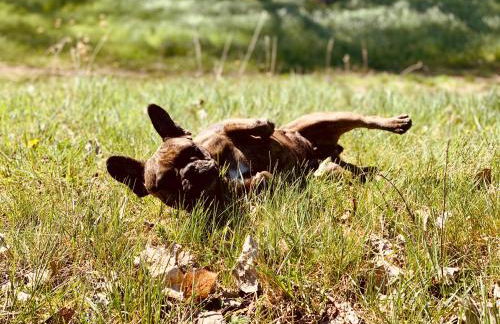 W Diamonds Ranch - Photo 17