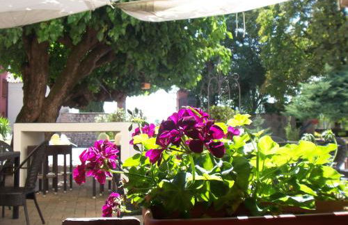 Agriturismo Al Casale - Foto 24