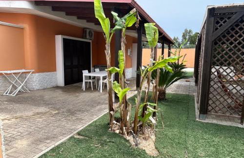 Oasi verde cavallino - Foto 21