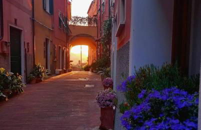 Dagli ulivi al mare - Foto 37