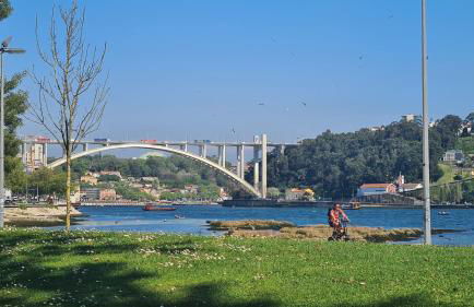 Apartamento vista Douro e Mar - Foto 75