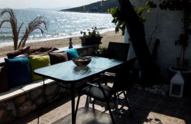 Maria Studio - Foto 45