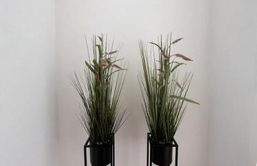 Barros' House - Foto 18