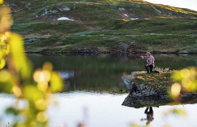 Åre Travel - Center - Photo 55