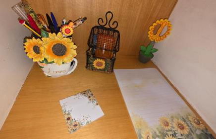 Sunflower Place - dimora del girasole - Foto 15