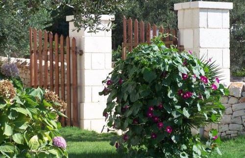 Residenza Aurora - Foto 108