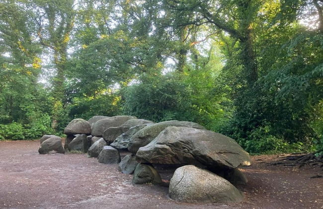 Tranquil Stay in Drenthe - Photo 40