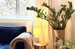 Newly refurbished 2 BR Apartment in South London - Photo 34