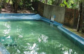 Chácara Bela Vista - Photo 14