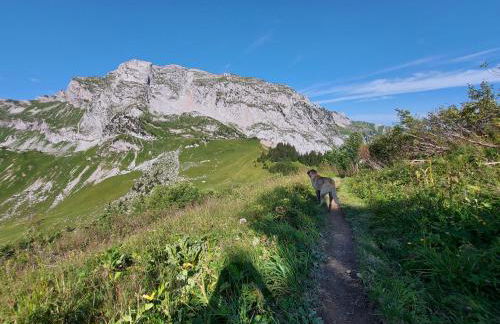 Superbe appartement au centre de St Jorioz - Photo 24