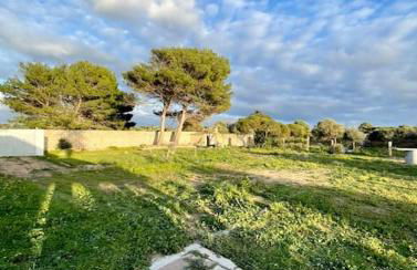 Villa Nido dei Passeri - Foto 52