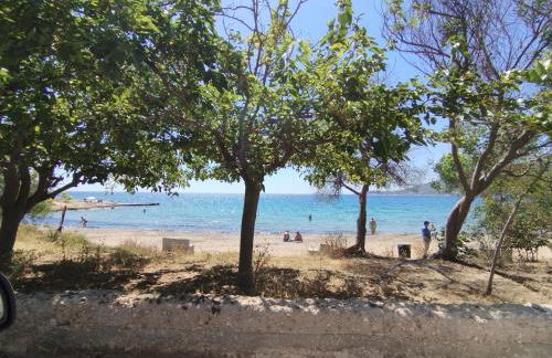 Seabreeze Home - Foto 29