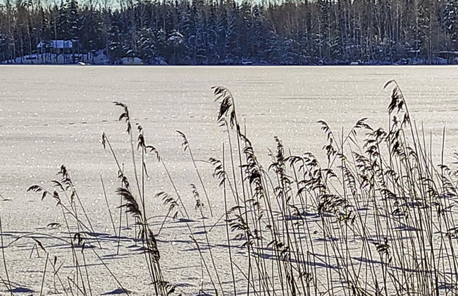 Annelinniemi - Foto 26