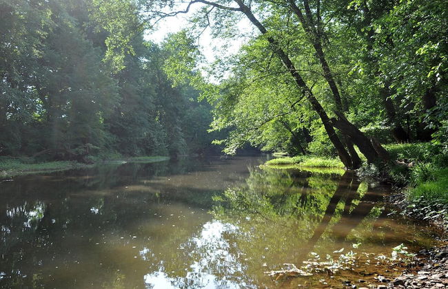 Sleepy Creek - Creekside Escape - Foto 28