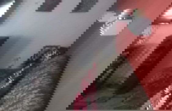 Immaculate 2-bed Apartment in Spanish Town - Foto 4