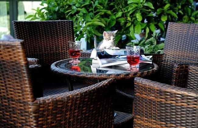 Il Giardino di Valentina - Foto 38