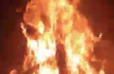 Southern Magnolia House with Porch Swing - Foto 22