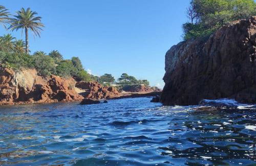 Maison 8p, Superbe Vue Mer, Piscine 25x10m, 300m plage, Tennis, Domaine sécurisé - Foto 5