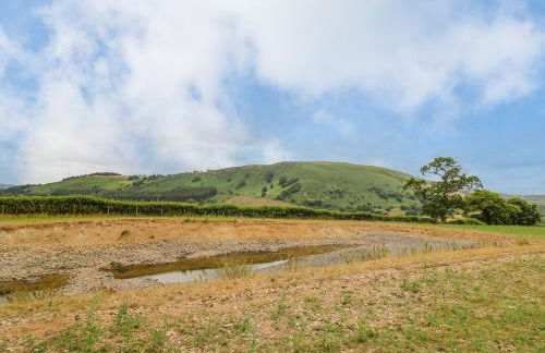 Byrdir Cottage - Photo 42