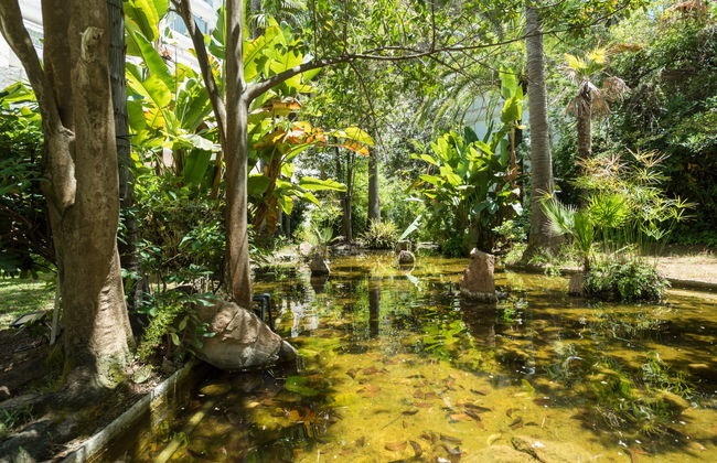 Jardines del Mar - Foto 20