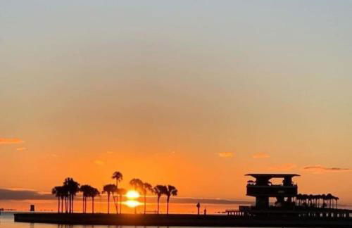 Itz a Vibe - 1 bedroom studio in the heart of DTSP - Foto 28