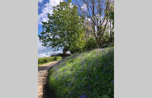 Ballyheifer House - a beautiful 5 bedroom home. - Foto 55