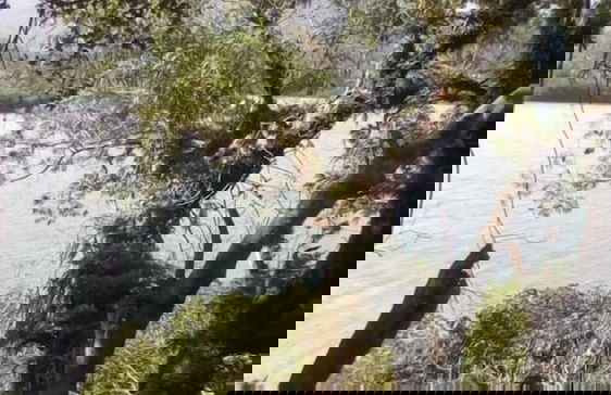 Mahun on the Lagoon Bungalows - Photo 17