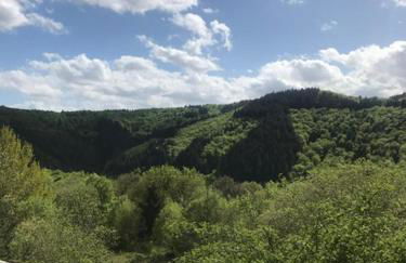 Blockhaus Edelweiss - Foto 60