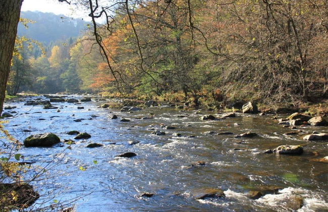 Peaceful Garden Home, Chevron - Foto 37